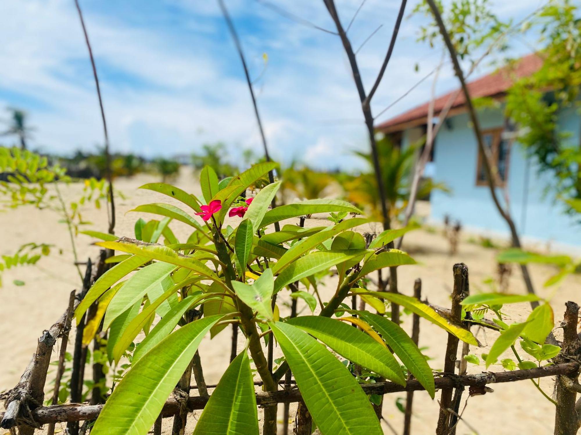 Oceano Beach Villa 阿鲁甘湾 外观 照片